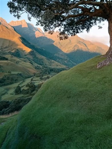 Stunning Log House Designs for Your Dream Home