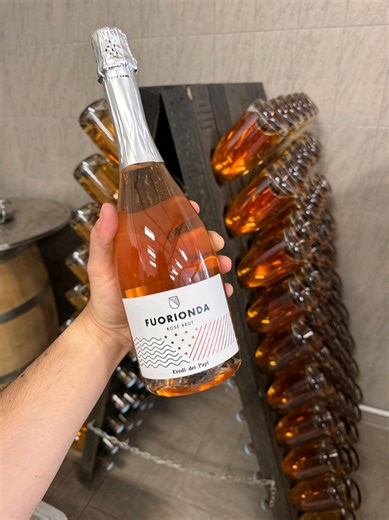 FUORIONDA 🌊✨ Spumante rosé brut, metodo classico ❤️ #eredideipapi #metodoclassico #vinobio #sparklingwine #lavieenrose
