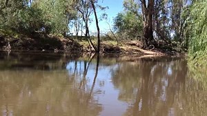 4.8K views · 147 reactions | Three waters have shared in 110,000 golden perch fingerlings today to improve inland fishing opportunities. Lake Nillahcootie - 60,000 Broken River - 45,000 Benalla Lake - 5,000 #fishinglicencefeesatwork #target1million #yellas | Victorian Fisheries Authority | Facebook