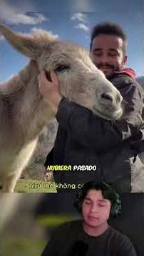 This donkey surprised everyone 😳 #funfacts #iamapollo #apolo