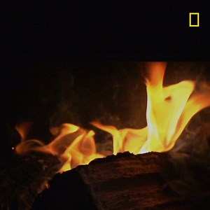 In the colder months, Alex Javor relies heavily on his wood-burning furnace to keep warm. Which means that in order to survive, he needs to collect a lot of wood. New episodes of Next Generation air Tuesday nights at 9/8c on National Geographic. | Life Below Zero