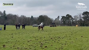 ‘Mossey Fen Coolio’ the most impressive winner of the day in the 5yo geldings maiden for Eamonn Doyle & Jamie Scallan an €80k store from Tattersalls Ireland Derby Sale #Tattscheltenham | Racing's Inside Track tv