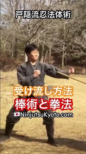 Ninjutsu Kyoto 🇯🇵 Togakure-ryu Ninjutsu Taijutsu 🥷 How to parry stick and martial arts #Ninjutsu