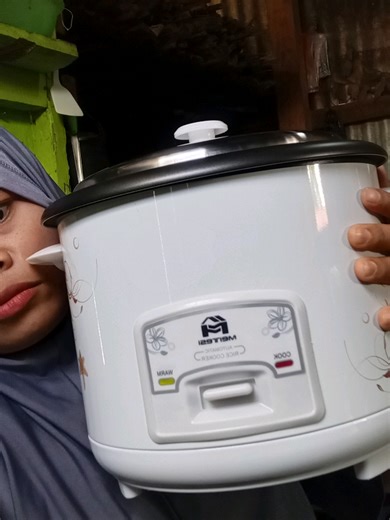 Easy Rice Cooker Recipes for Beginners