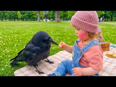 Funny Babies and Pet Birds Being Real Comedic Duo - Funny Baby Videos || Little Boss