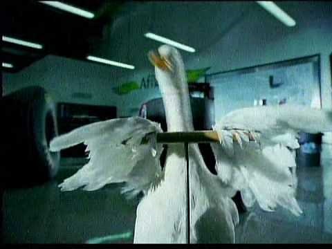 Carl Edwards AFLAC Mean Machine 2009