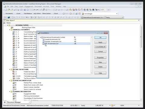 CaseWare Working Papers: Detailed Consolidated General Ledger
