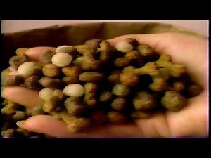 Pedigree Dog Food Commercial