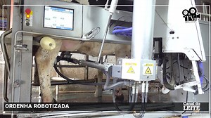 2.2K reactions · 86 shares | Genética ARM - Fazenda de gado holandês...