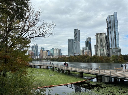 What is Austin asking about? These are the most common 311 requests in 2026