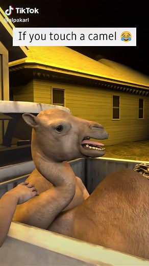 Hilarious 3D Camel Meme Remake