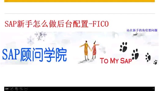 SAP新手如何去做后台配置-FICO