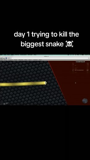 Day 1 Attempting to Defeat the Biggest Snake in the World