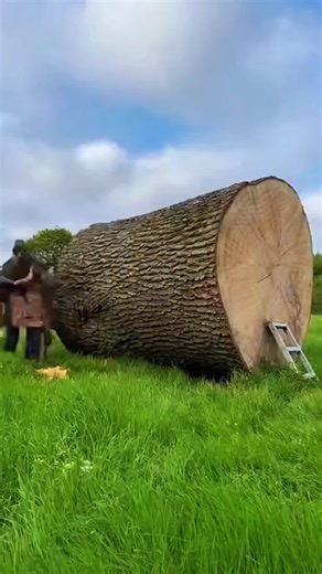 Build Your Own Tiny House: A DIY Guide