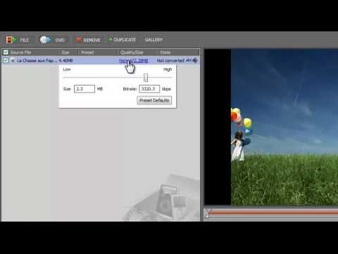 Changing a Video File Size before Converting in Movavi Video Converter 11