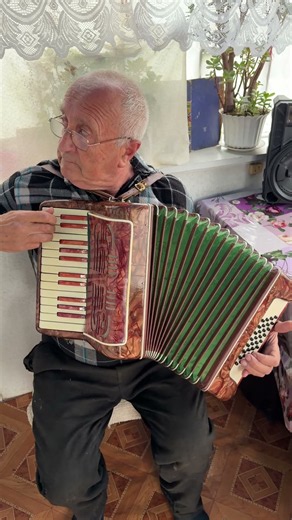 Vintage 1970s Russian Piano Accordion, 32 Bass, 2 Voices, Travel Size, Case, ON SALE