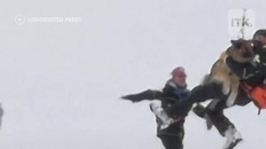 雪地救援犬接受救援訓練 靠靈敏嗅覺尋找倖存者