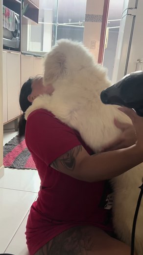 Woman and Dog Bonding in Cute Kitchen Video