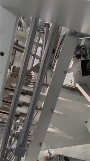 Carton Erecting Machine