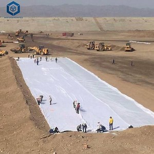 [Hot Item] Geotextile Fabric Geotech Fabric Geosynthetic Material Geotextile for Mining in Chile