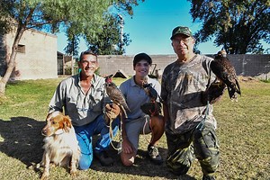 La cetrería también se practica en Córdoba - Web de Noticias - Gobierno de Córdoba