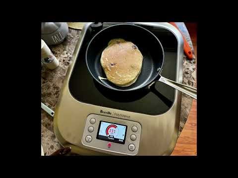 Breville PolyScience Control Freak Induction Cooktop Review