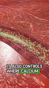 Let Me Help You on Your Health Journey! 🌿 Empowering those battling chronic illness with epigenetic insights and wellness support. Together, we fight Lyme and more! #ChewTheVibes #LetMeHelpYou #HealthJourney #TheEpigenetics #FightLyme #ChronicDiseaseWarrior #WellnessSupport #ChewTheVibes #HealingTogether #ChronicIllnessAwareness #MindBodyHealing | Diet & healthy By Dr