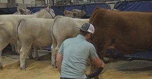 Texas Junior Livestock Association takes over Waco's Extraco Events Center