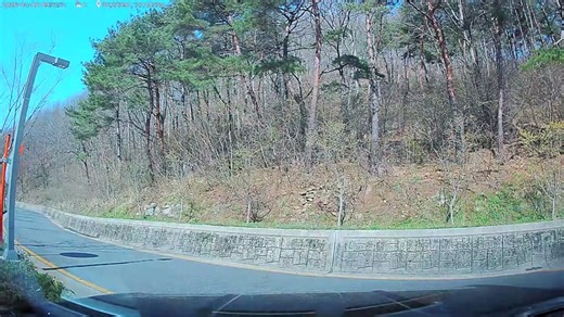 Runaway wolf spotted near zoo after escape