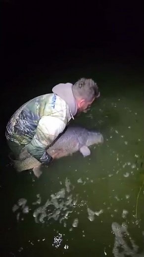 Monster 116cm Cod Caught Epic Lake Mulwala Fishing | This Amazing Cod is HUGE