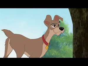 Lady And The Tramp II: Scamp's Adventure: Tramp (2001)