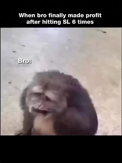 😂😂Follow for trading ideas and content #forex #forexsignal #xauusd #icttrading #trader #forexp