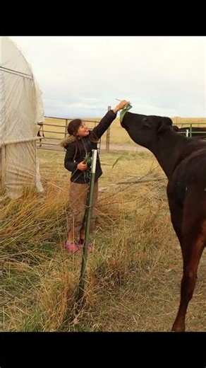 This Is Why We Love Spring on the Homestead
