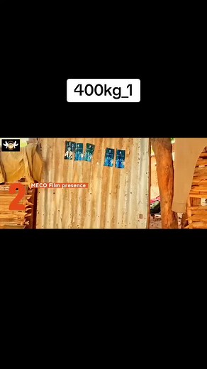 South Sudan Comedy Featuring Daniel 400kg