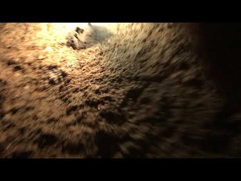 Aluminum-potassium nitrate flash powder