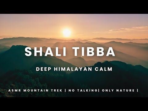 Trekking through Culture and Nature in the Himalayas | ASMR Trek to Shali Tibba
