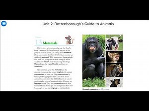 ckla 3rd grade unit 2 lesson 13