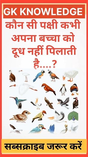 कौन सी GK Question || Gk In Hindi || Gk Question And Answer || Gk Quiz || Ssc || All Exam