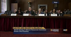 Electric Grid Security