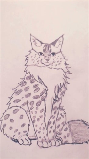 Warrior Cats I draw oc characters #robloxedit