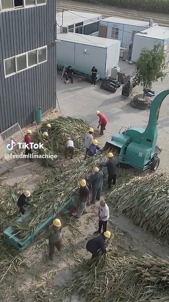 High-pressure jet chaff cutter, large 30-ton model, with a production capacity of 30 tons per hour.#machine #tiktok #cutter