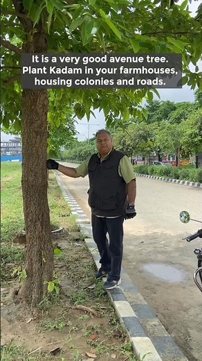 Kadam vs other trees,the growth difference is shocking #gardening #trees #comparison@peepalbabafan11