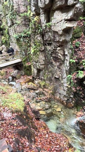 Just nature : Quechee waterfalls, Vermont