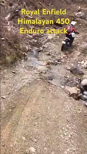 #royalenfield #himalayan450 #ロイヤルエンフィールド #ヒマラヤ450 #林道 ツーリング