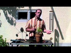 Electroculture Antenne Lakhovsky Circuit Oscillant