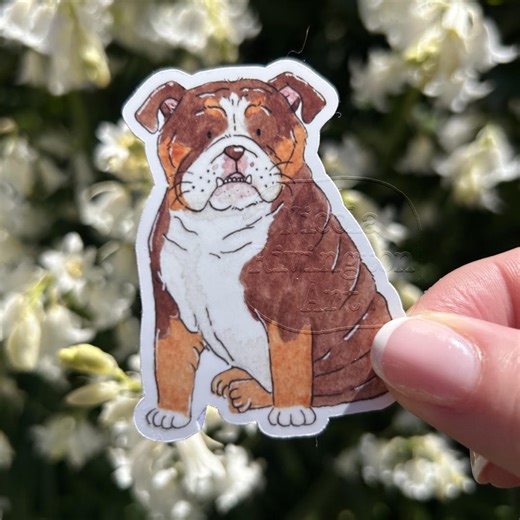 English Bulldog Vinyl Sticker | Die Cut Sticker | Laptop Decal | Tablet Case Sticker | Phone Sticker | Water Resistant Sticker | Cute - Etsy