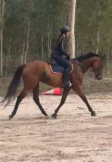Flicky Toes Friday anyone? (Don’t mind my atrocious riding) #fyp #goviral #horse #koolboojackofhearts #flickytoes 📸: @Bethany McKay Equestrian