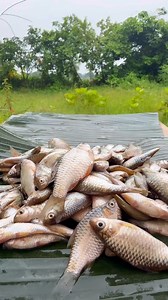 203K views · 10K reactions | Small Fish Fry in Banana Leaf  | Pm Cooking | Facebook