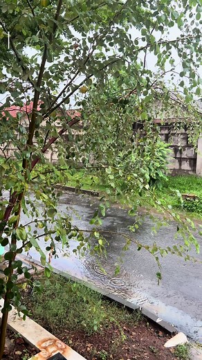 ⛈️🌧️🌧️#coco