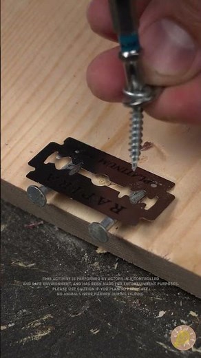 DIY-Holzideen, die fast nichts kosten 🪚💵